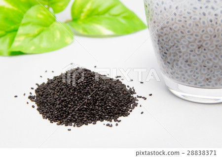 Basil seed 28838371