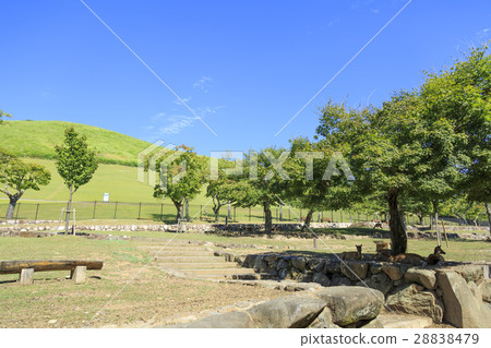 Wakakusayama Nara Prefecture Wakakusayama Nara Prefecture 28838479