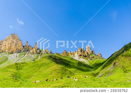 Schlern mountains by Seiser Alp in South Tyrol Schlern mountains by Seiser Alp in South Tyrol 28838762