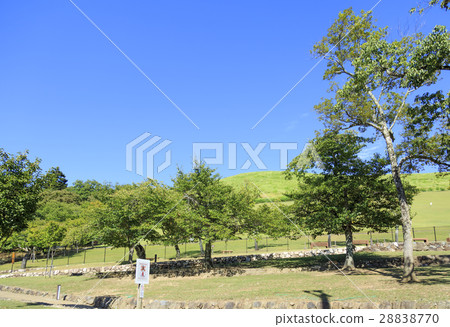 Wakakusayama Nara Prefecture 28838770