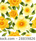 Seamless background with yellow daffodil narcissus 28839826
