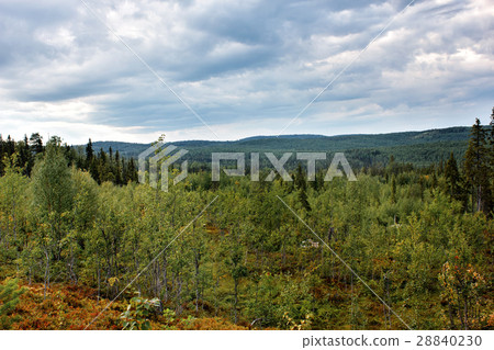 View from the mountain on forest expanses. Russia View from the mountain on forest expanses. Russia 28840230