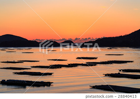 Mushiaki皇家門的Akebono - 100日本朝日日本 - Mushiaki皇家門的Akebono - 100日本朝日日本 - 28840413