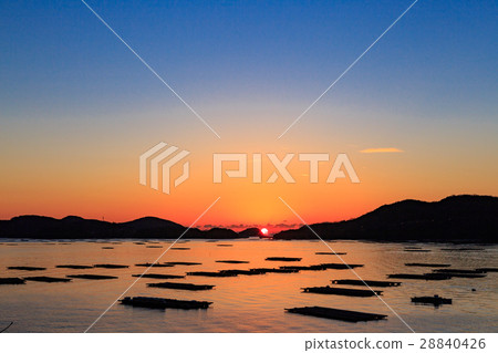 Mushiaki皇家門的Akebono  -  100日本朝日日本 -  28840426