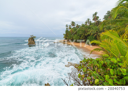 Idyllic beach Manzanillo Costa Rica 28840753