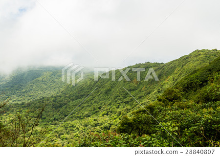 Rainforest landscape in Monteverde Costa Rica 28840807