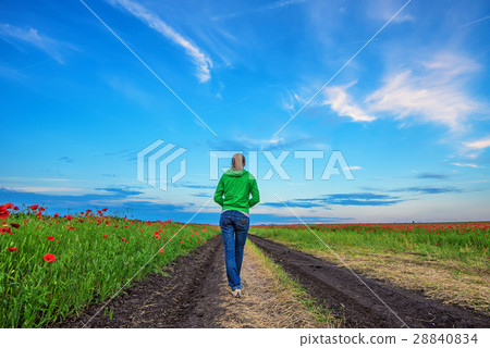 Girl walks on road surrounded with poppy fields 28840834