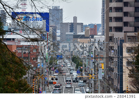 從仙台/東照宮看到的城市 28841391