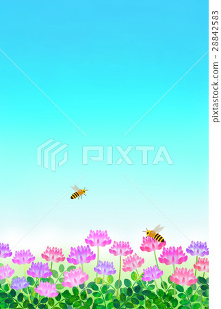 Range and honey bees 28842583