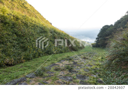 ankin-kotai(Bungo Kaido)路附屬區(Bungo路) ankin-kotai(Bungo Kaido)路附屬區(Bungo路) 28842607