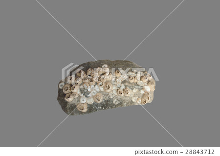 cobblestone out of the sea cobblestone out of the sea 28843712