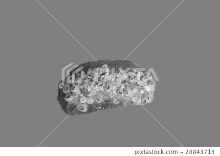 cobblestone out of the sea. black and white cobblestone out of the sea. black and white 28843713