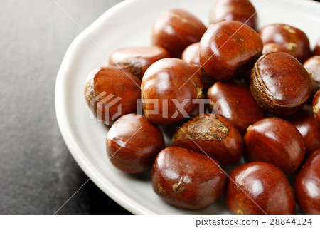 天津板栗 28844124
