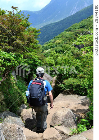 Mountain climbing from Kuroyama mountain Makinoido in summer to Kusumiyama 28844180