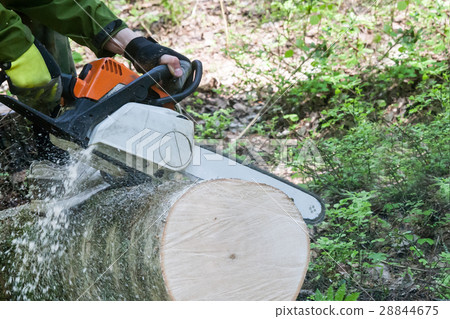 The chainsaw cutting the log 28844675