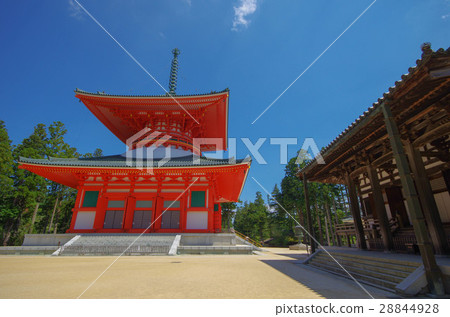 Takanoyama Danjo 28844928