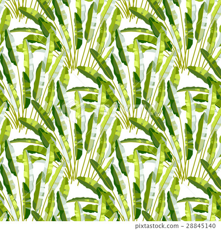Seamless pattern with tropic plants Seamless pattern with tropic plants 28845140