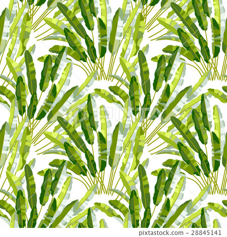 Seamless pattern with tropic plants Seamless pattern with tropic plants 28845141