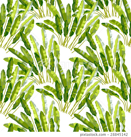 Seamless pattern with tropic plants Seamless pattern with tropic plants 28845142