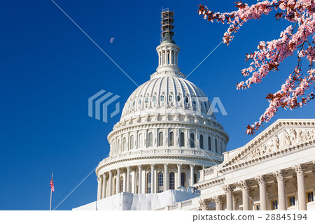 US Capitol at spring sunny day 28845194