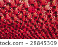 燈籠 28845309