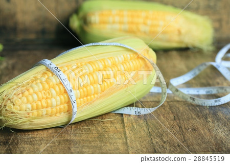 sweet corn sweet corn 28845519