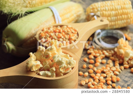popcorn with dried seed. popcorn with dried seed. 28845580