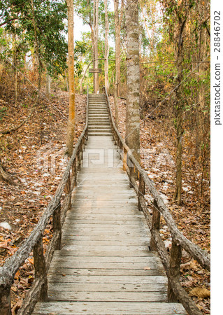Concrete walkway at the Bua tong waterfall. Concrete walkway at the Bua tong waterfall. 28846702