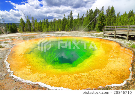 Yellowstone Morning Glory 28846710