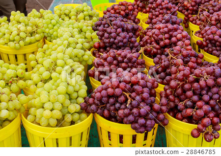 A Bunch Fresh Organic White And Red Grapes A Bunch Fresh Organic White And Red Grapes 28846785