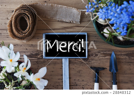 Spring Flowers, Sign, Merci Means Thank You 28848312