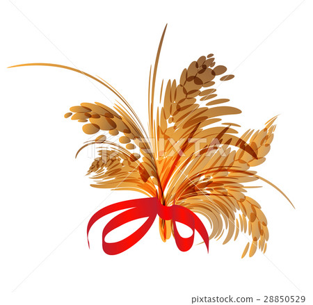 Bunch of spikelets Bunch of spikelets 28850529