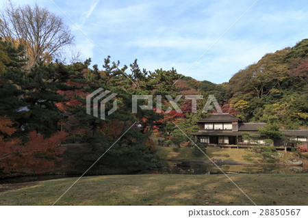 Autumn leaves at Yokohama Sankei Garden Autumn leaves at Yokohama Sankei Garden 28850567