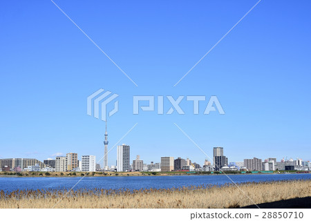 東京城市風景東京天空樹 28850710