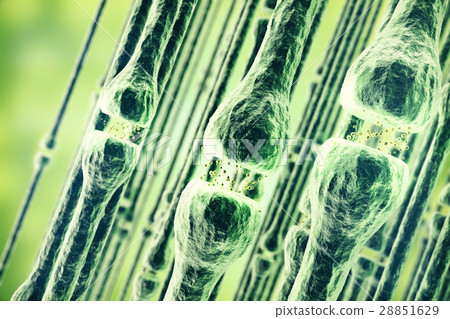 Illustration of an active receptor isolated on 28851629