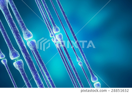 Synaptic transmission, human nervous system. 3d Synaptic transmission, human nervous system. 3d 28851632