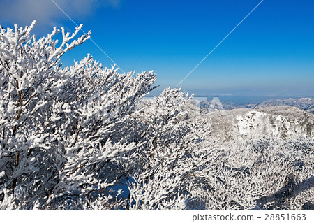 Location (Snow in December) Location (Snow in December) 28851663