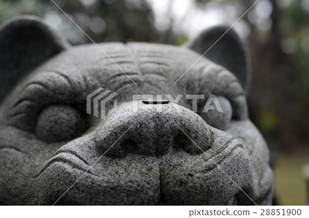 Ookawa shrine's fuso tiger-6 28851900