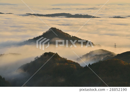 Yatakayama海的海 28852190