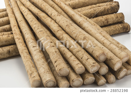 新鮮的牛皮 28852198