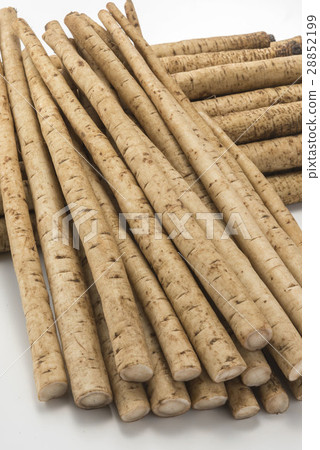 新鮮的牛皮 新鮮的牛皮 28852199