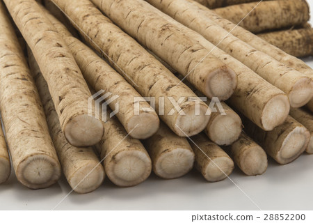 新鮮的牛皮 新鮮的牛皮 28852200