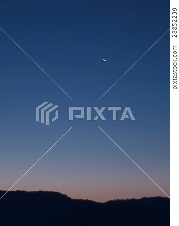 黎明前的天空中的月亮 28852239