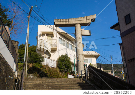 [長崎縣]山王神社一柱支柱 28852293
