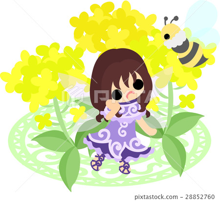 Cute fairies and beautiful rape flowers and bees 28852760