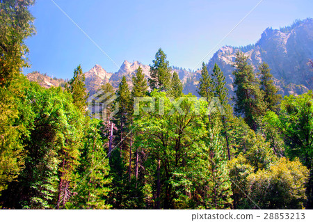 Yosemite National Park, USA 28853213