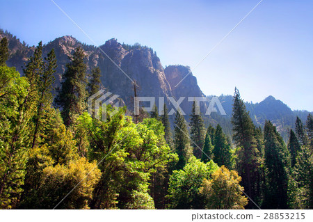 Yosemite National Park, USA 28853215