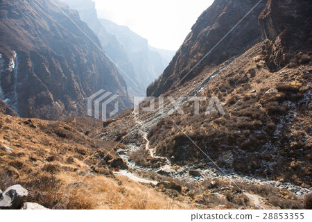 beautiful way for trekking to Annapurna base camp beautiful way for trekking to Annapurna base camp 28853355