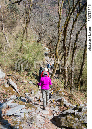 Hiking to Himalaya mountain in Nepal , trekking  28853726