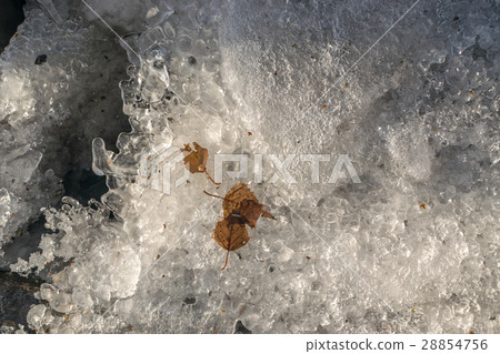 Grey Melted Ice on the Ground in Early Spring 28854756